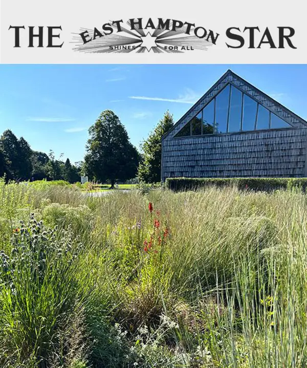 The Evening Star Cover. A field of native plants in front of a home.